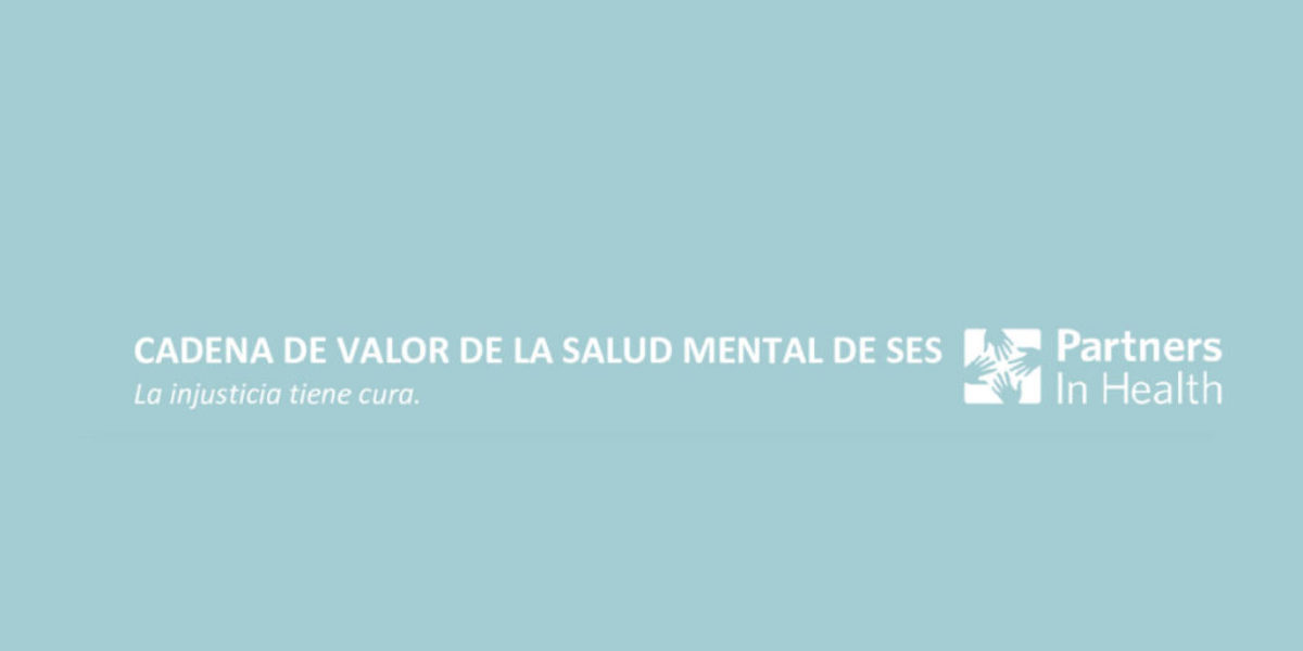 Taller: Cadena de valor de la salud mental de SES